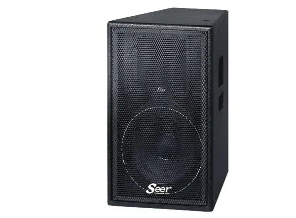 Seer朗声音响(BR-152)单十五寸课室多功能厅音箱德国赛尔音响设备