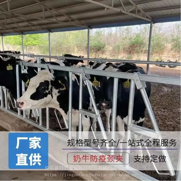 加厚热镀锌牛颈枷 养牛场养牛双开式牛颈夹 自锁式新型牛脖夹