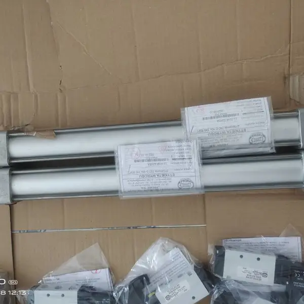 VEGA CP62.XXAGAZAMX(L=2500MM) 液位计