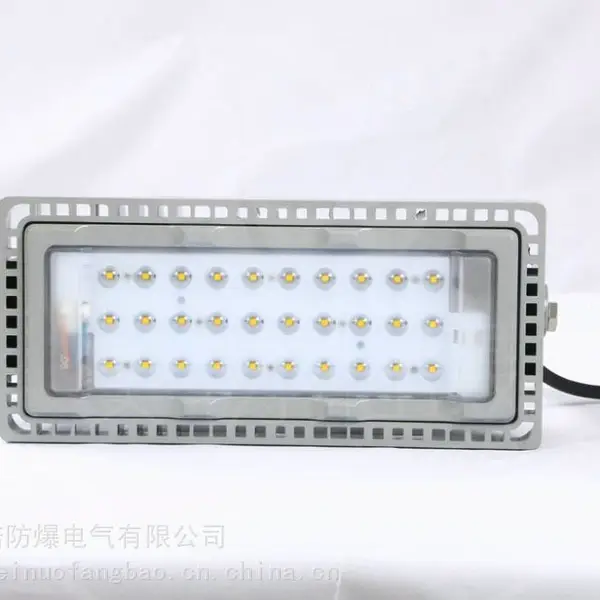 NTC9280-110W投光灯泛光灯照明灯220v