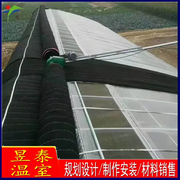 ��̩ �չ�����ů�� �߲˴����ޱ���ů���� YTWSRG11007A
