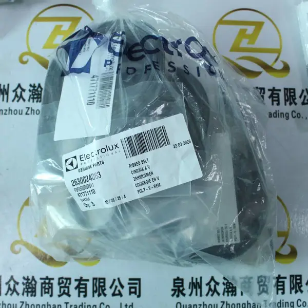 伊莱克斯ELECTROLUX 原厂配件487225610 传动皮带