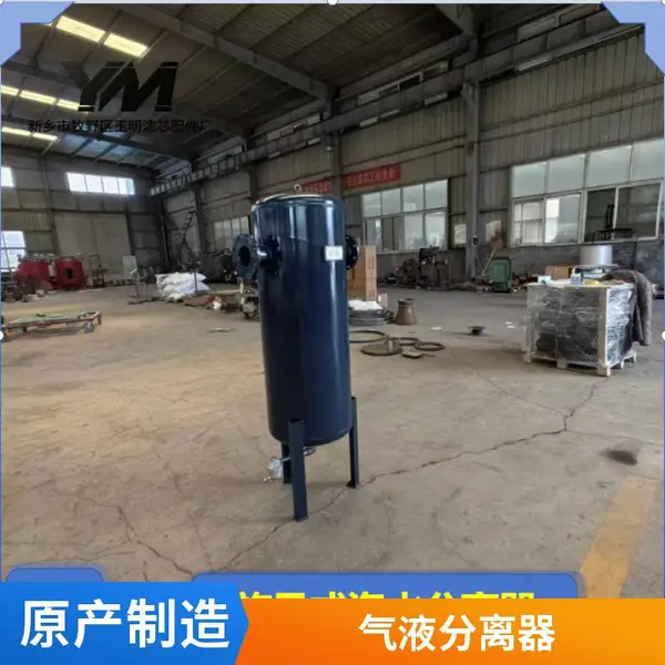 旋流汽水分离器DN125化工厂蒸汽除水装置 玉明定制
