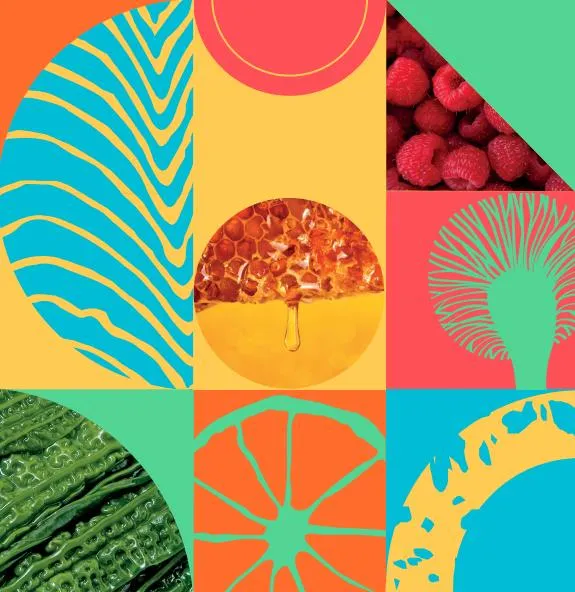 2024韩国首尔国际食品产业展览会Coex Food Week