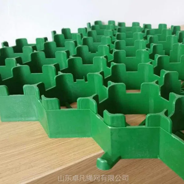 山东停车场专用HPDE塑料植草格 草坪格 人行道绿化草坪植草砖 生活小区公园绿化植草格