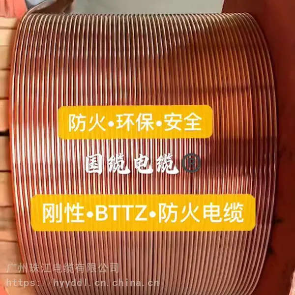 泉州电缆BTTVZ-泉州YTT耐油电缆-泉州市YTTWY电缆有限公司