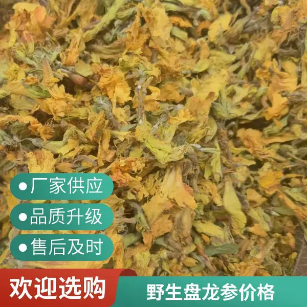 全国供应中药材 盘龙参 含量高功效好 产地供应