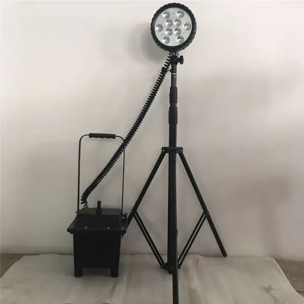 ��Яʽ�������������ż�����Ӧ����ʩ������̽�յ�����Ӧ����