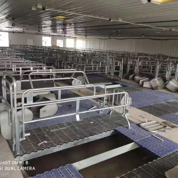供应大型农场猪场用分娩栏镀锌围栏