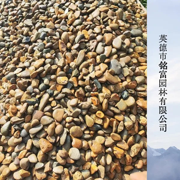 多规格鹅卵石现货 庭院造景石头 变电站垫层鹅卵石
