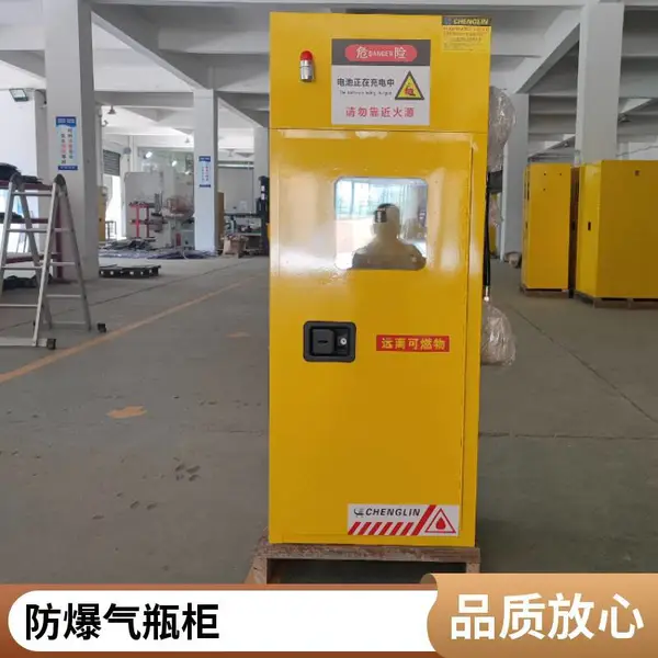 �����Ʒ�����ƿ�������棩����˫�������� ������������ȫ����
