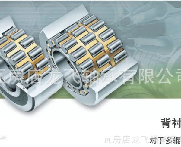 多辊板材轧机背衬轴承 BC5532.5 WGTR 25×55×52剖分圆柱滚子轴承HSE312BX