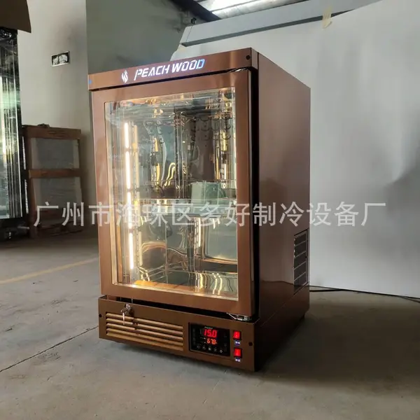 十年工厂供应小型熟成柜 排酸柜 进口牛肉展示柜 用于西餐厅酒店