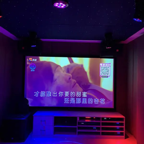 �ϲ�����ԭװJBL CV1070 10���������OK���� 100�� �� 70�㸲�ǽ����