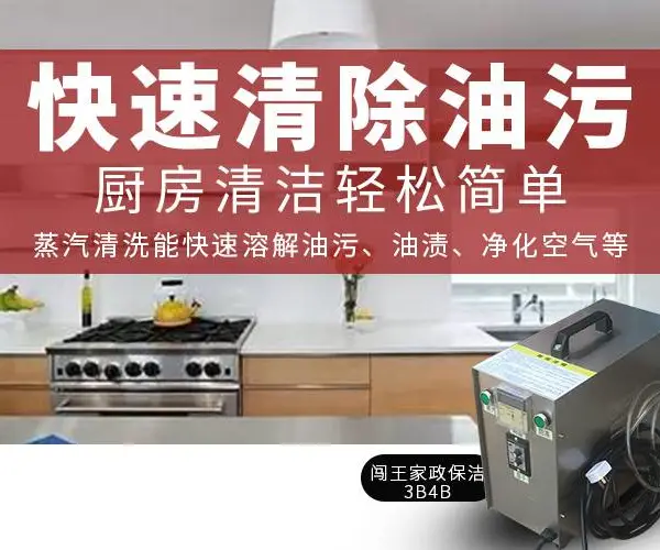 闯王 手提式蒸汽清洗机 上门清洗油烟机 沙发 空调 家政清洗好帮手