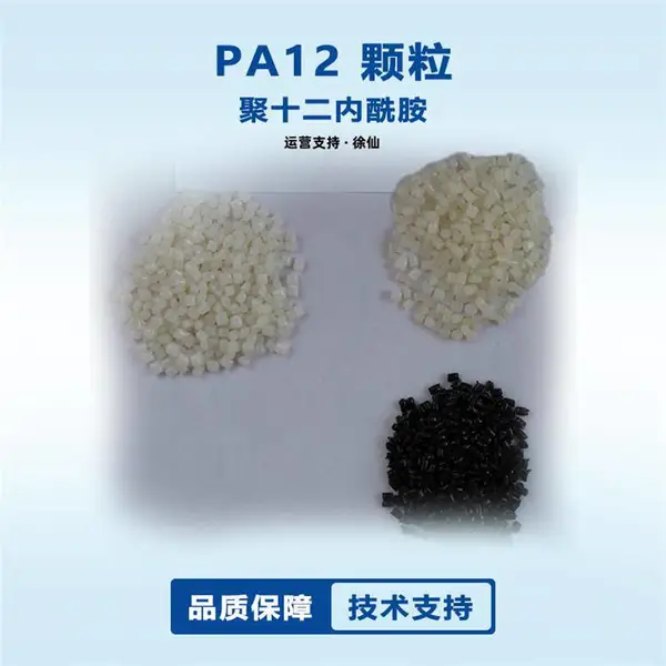 PA12 德国赢创德固赛 7233 高耐热级 高抗冲 韧性佳pa12 轴承用 尼龙