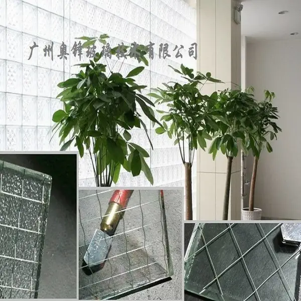 厂家供应夹丝玻璃,防火防盗钢丝夹丝玻璃 进口夹丝玻璃