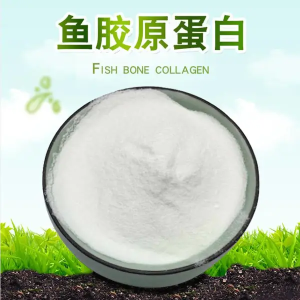 杰登 罗赛洛 鱼胶原蛋白 鱼胶原蛋白肽 蛋白粉 支持小样15kg/袋