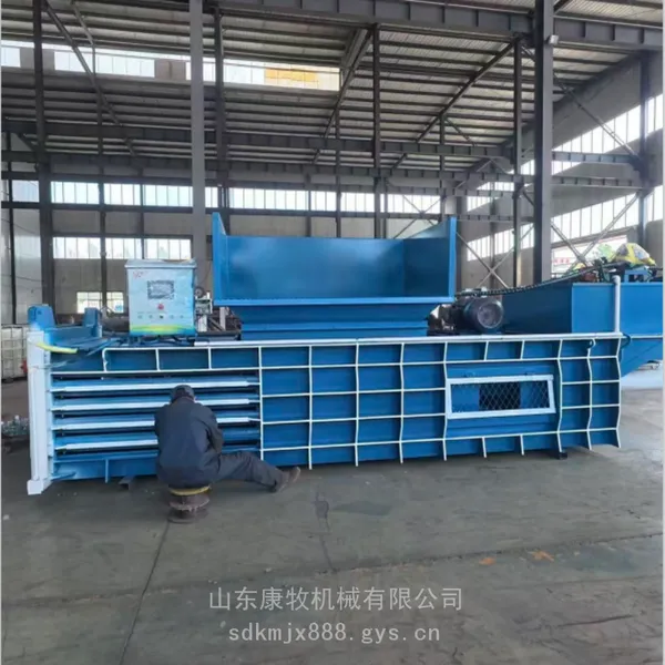 卧式大型双缸液压打包机 液压方形压块机 废品压缩成型机