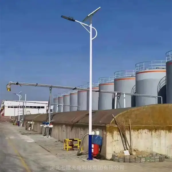 高速公路太阳能工程路灯 高低臂金豆路灯 新农村户外太阳能路灯