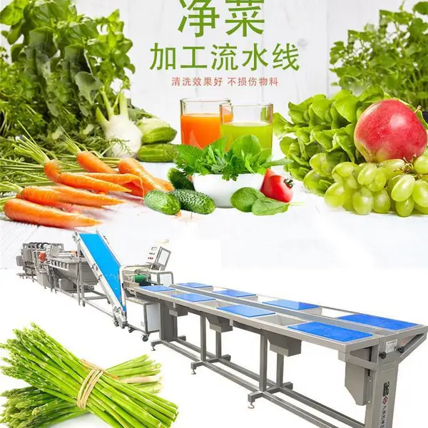 连续式净菜加工流水线,学生营养餐净菜加工设备
