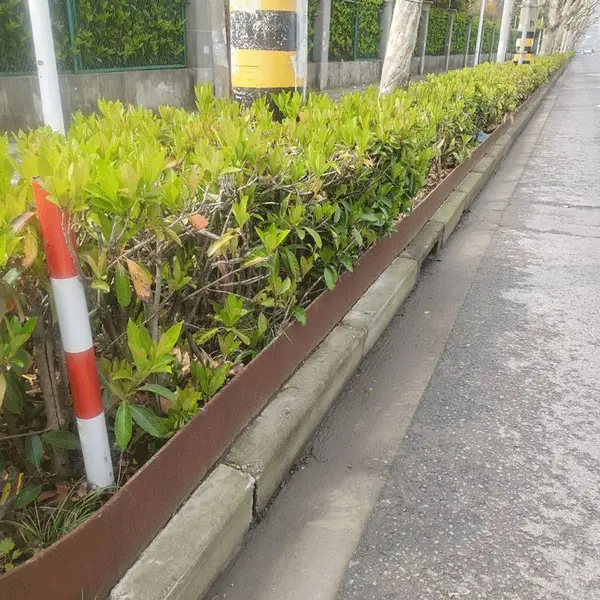����Ļǽ԰���ͺ�ְ�Q235NHB�ͺ���οյ�� ��ֲ�����ͺ���к��