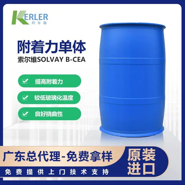 ����άSolvay ��-CEA �������ٽ����� �ʺϸ������ �����ܴ���