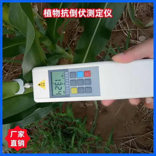 泛胜DDZ系列植物抗倒伏测定仪农作物抗倒伏能力快速测定设备