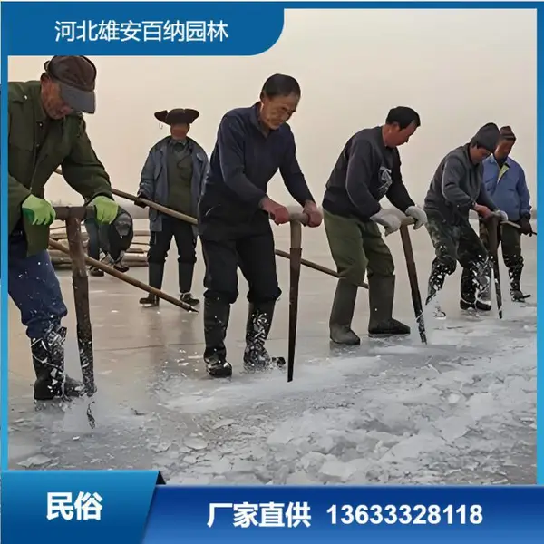 冰上交通工具 冰爬犁 白洋淀冰床 民俗老物件 雄安百纳民俗专供