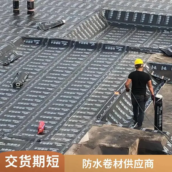 3mm聚酯胎SBS防水卷材 改性沥青防水卷材 厂家直供 车库顶板屋面防水