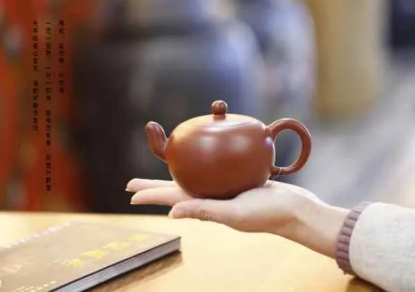 养生茶怎么选