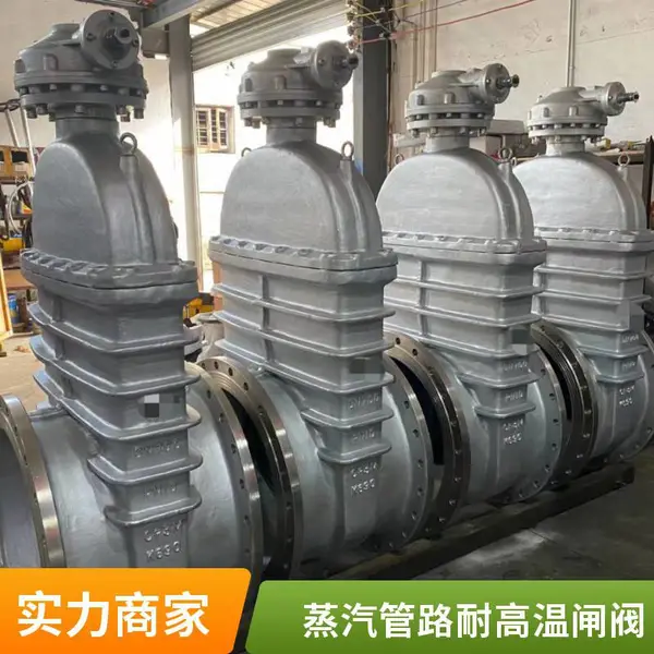 不锈钢闸阀DN100软密封法兰式污水处理厂工程用