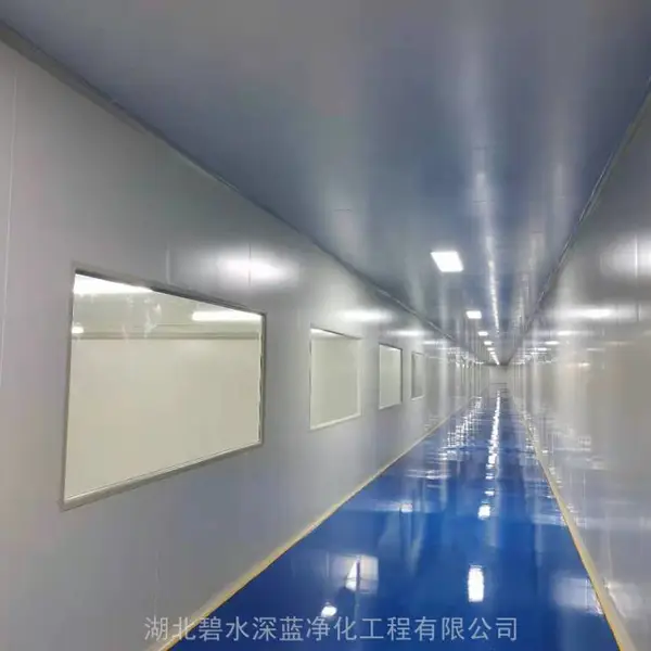 湖北襄阳30万级食品厂无尘净化车间设计施工装修中央厨房承接