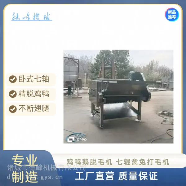 大鹅鸭子去毛机 肉鸡宰杀烫后脱毛机 可按客户需求定制