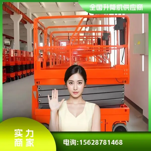 杭州 雕塑升降机 升降机一台多少钱