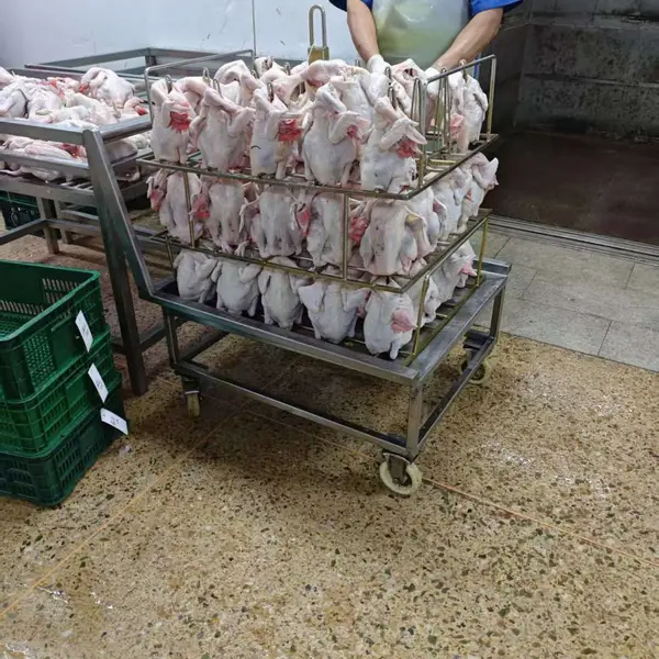 鸡屠宰设备 鸭子宰杀设备 鹌鹑屠宰流水线 宰乳鸽机械生产线
