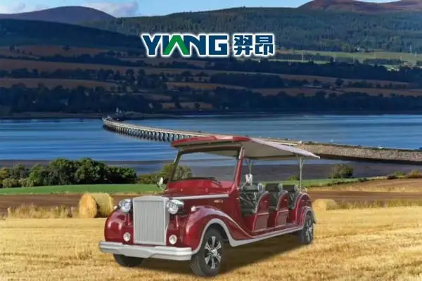 羿昂 12座电动老爷车 电动豪华旅游观光车 楼盘看房车