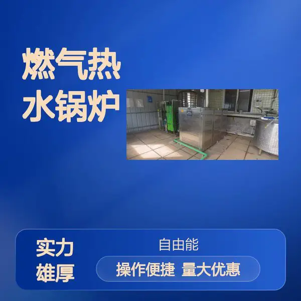 燃气热水锅炉 全自动智能控温 稳定高效供热设备