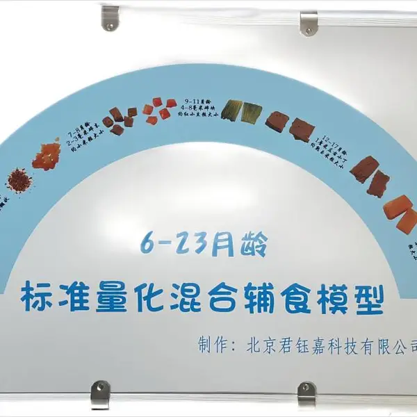 6-23 月龄辅食质地指导模型婴幼儿辅食教具辅食模型喂养辅食模型