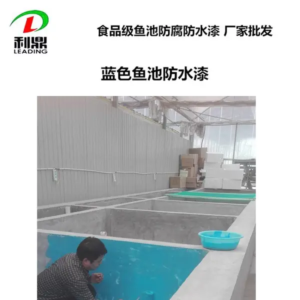 天蓝色水泥池防水漆LD-204食品级环氧树脂防腐防水材料