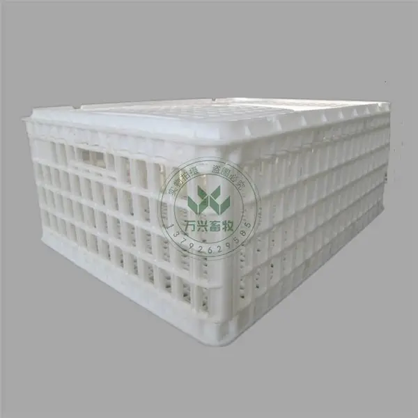 塑料成鸡筐 鸡周转筐 商品鸡周转笼