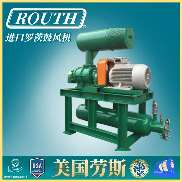 进口罗茨鼓风机-三叶-二叶-直联- RH-美国劳斯ROUTH