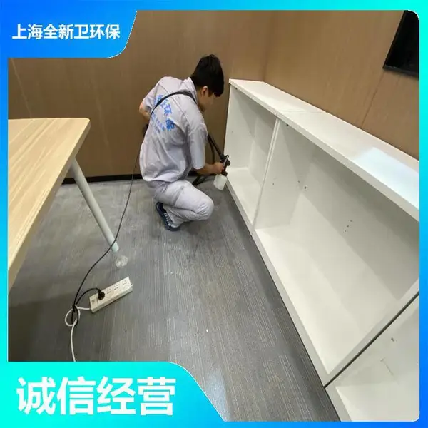 全新卫专业除甲醛 家庭除甲醛 新房甲醛治理甲醛检测