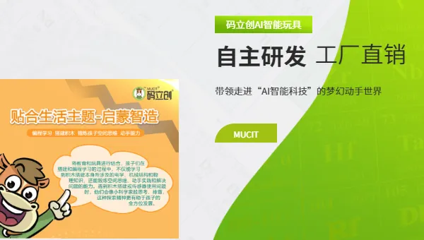 重庆积木玩具搭建 常州码立创玩具科技供应
