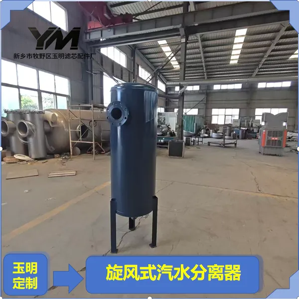 旋风式汽水分离器余热蒸汽脱水过滤防止水锤冲击汽水分离器