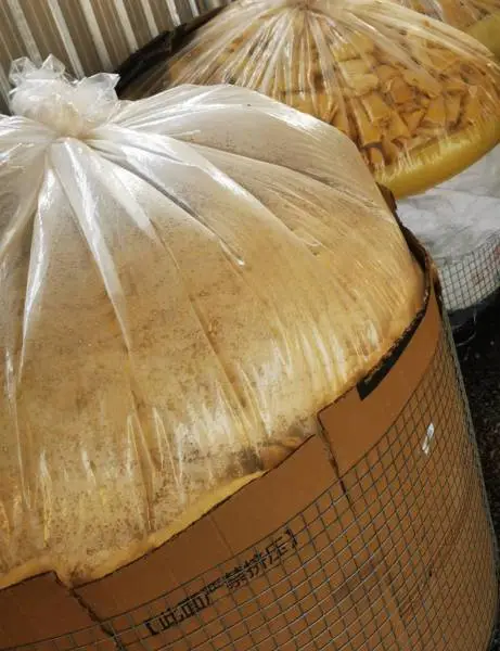 小北江供应加工生产各类麻竹生笋盐渍笋丝干笋片等等