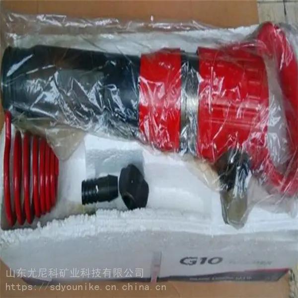 ������G20���� ������ �ֳ�ʽ����
