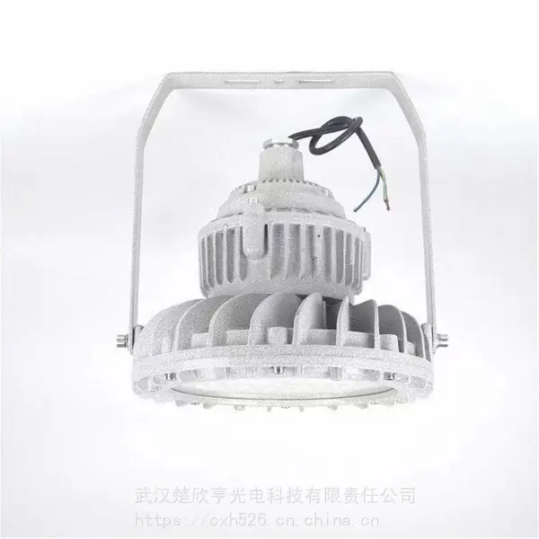 LED������GB206-L50 ����LED���ܵ� ��ˮ��������LED��