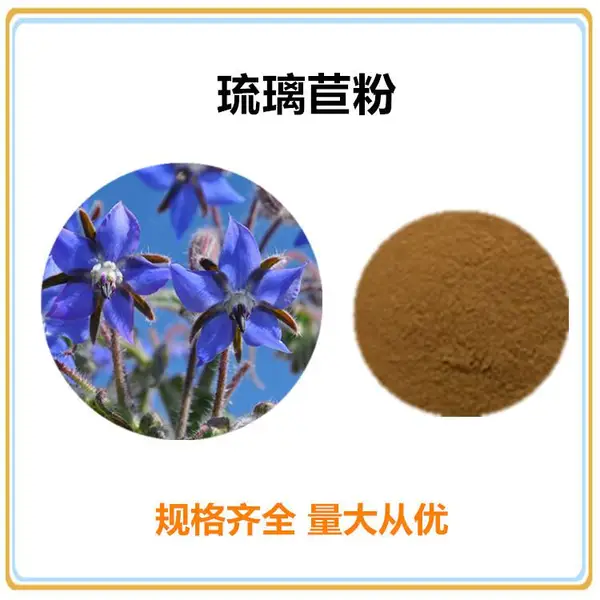 琉璃苣粉98% ,琉璃苣提取物 ,琉璃苣提取液,琉璃苣浸膏