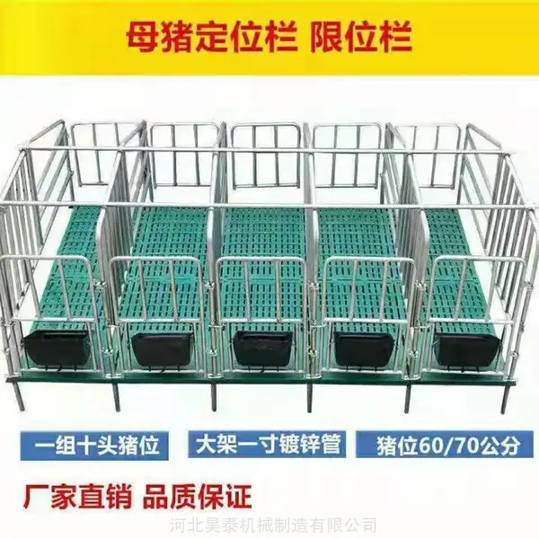 母猪产床 养猪设备母猪产床 双体猪用保育床